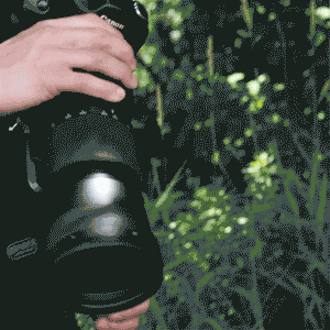 SpiderPro Lens Collar Plate